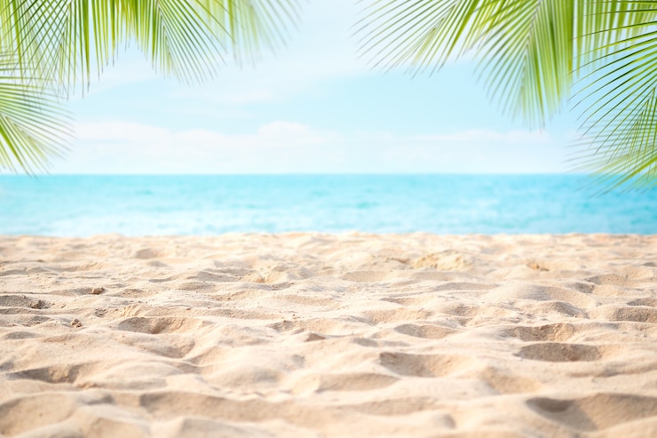 Zdjęcie ułóż piaszczystą plażę z liśćmi palmowymi lub liśćmi kokosowymi na wybrzeżu i rozmyj błękitne morze z bokeh z błękitnym niebem