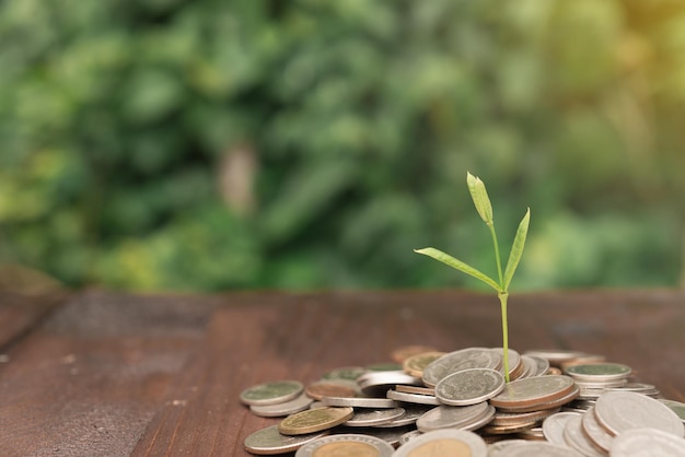 Ułóż w stos srebrną monetę i wierzchołek drzewa rosnące na drewnianej podłodze dla koncepcji biznesowej obrazuoszczędność pieniędzy na przyszłośćZachowaj swoje oszczędności, aby zwiększyć ich zainteresowanie