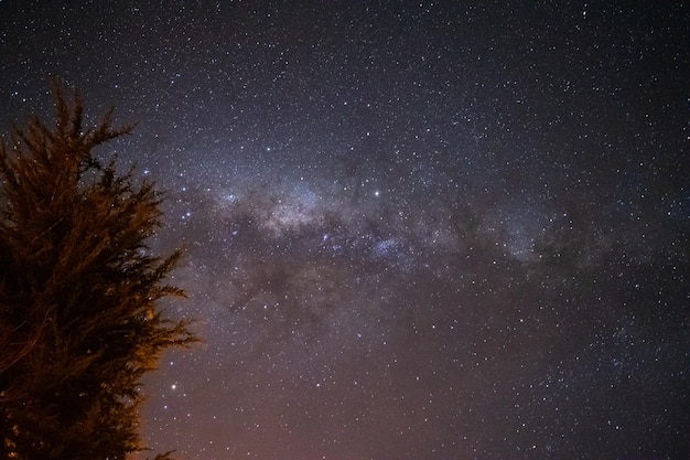 una noche estrellada