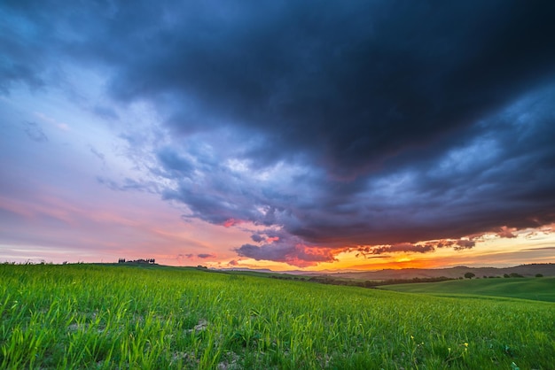 Unikalny zielony krajobraz w Toskanii we Włoszech Dramatyczne niebo o zachodzie słońca nad polami uprawnymi i polami uprawnymi zboża na wzgórzach