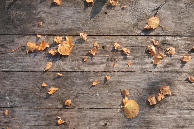 Zdjęcie upadłe jesienne żółte liście na drewnianej podłodze