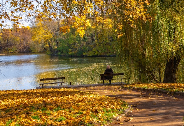 Upper Pond i Anti Circe Island w arboretum Sofievsky lub Sofiyivsky Park w Uman, Ukraina, w słoneczny jesienny dzień