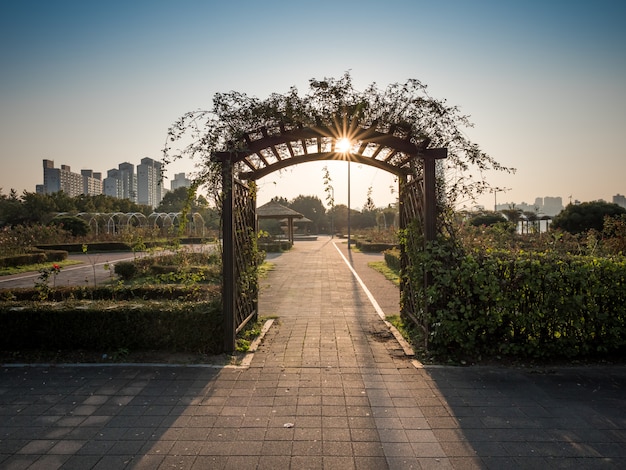 Uprawia Ogródek W Seul, Ranku Wschodu Słońca Tło