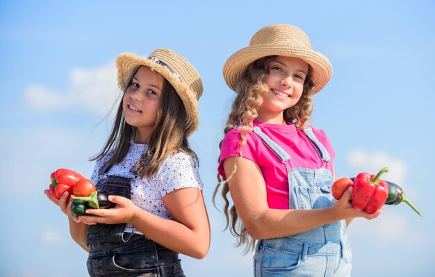 Uprawiane z miłością. warzywo małych dziewczynek. Tylko naturalne. zbierać witaminy. ogród jarmarku wiosennego. rolnictwo dzieci. jesienne zbiory. dzieci na letniej farmie. Jedzenie organiczne. zdrowa żywność to szczęśliwe życie.