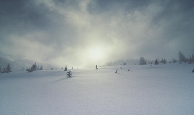 Upslope mgła i samotne zdjęcie krajobrazu narciarza