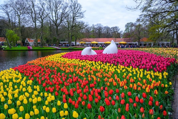 Zdjęcie upuść pomnik z kolorowymi żonkilami i tulipanami keukenhof park lisse w holandii