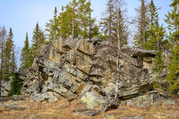 Ural Południowy z unikalną roślinnością krajobrazową i różnorodnością przyrody