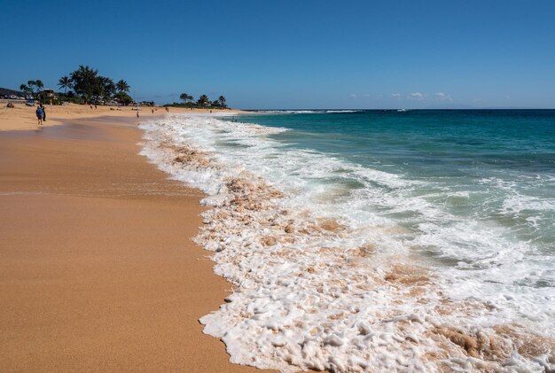 Urlopowicze na piasku Sandy Beach na wschodnim wybrzeżu Oahu na Hawajach zimą