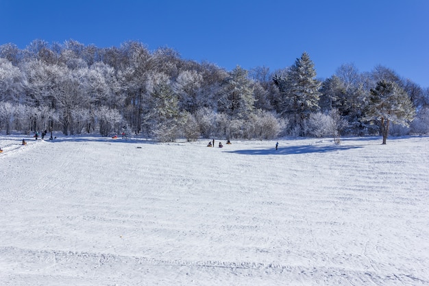 Urlopowicze turyści z dziećmi jeżdżą na dmuchanym sankach na zaśnieżonym stoku w zimowy dzień