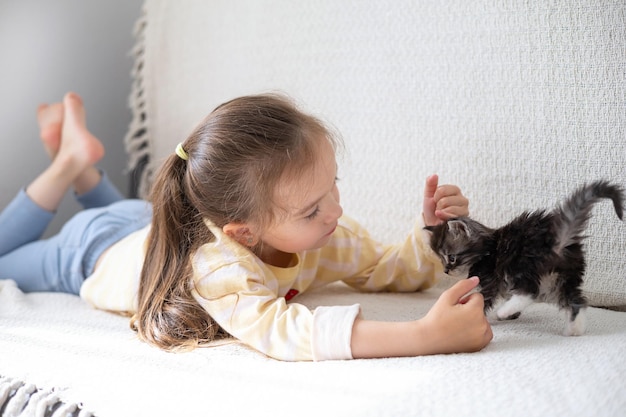 Urocza, długowłosa dziewczynka od 5 lat leży na kanapie i bawi się z kotkiem rasy maine coon Jasny pokój Przyjaźń między człowiekiem a kotem