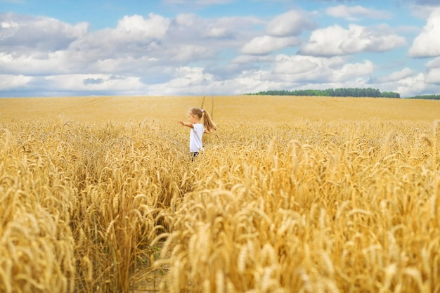 Urocza dziewczynka jest na złotym polu pszenicy o zachodzie słońca Dziecko spacerujące między złotymi kłosami żyta