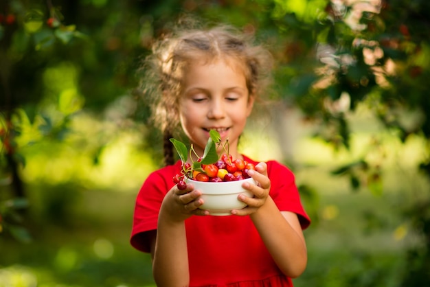 Urocza dziewczynka w wieku 6 lat zbiera wiśnie w ogrodzie o zachodzie słońca Letnie produkty przyjazne dla środowiska