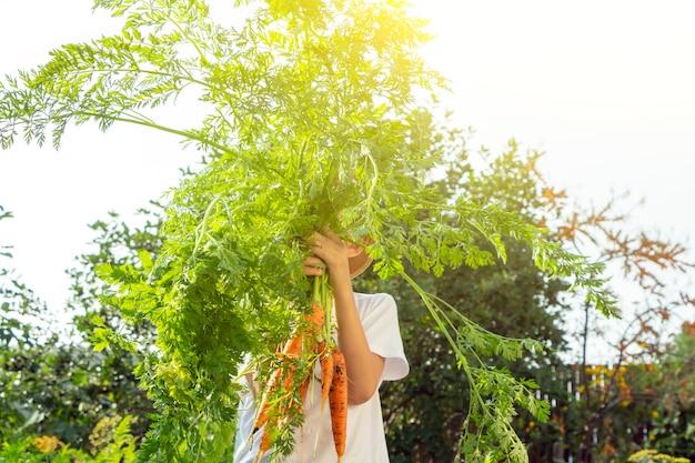 Urocza mała chłopiec dziecko w słomkowym kapeluszu z marchewką w domowym ogrodzie. Ogrodnictwo i zbiory dla dzieci. Pojęcie zdrowych organicznych warzyw dla dzieci. Wegetarianizm dzieci