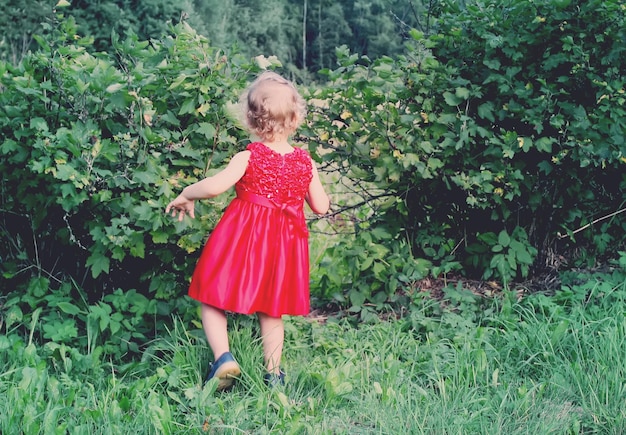 Urocza mała dziewczynka w jaskrawoczerwonej sukience spacerująca w letnim parku