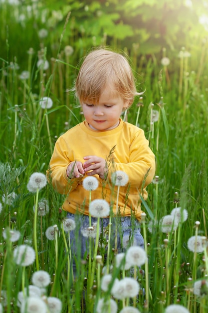 Urocze słodkie dziecko bawi się kwiatem mniszka lekarskiego w naturze latem w jasnym świetle zachodu słońca
