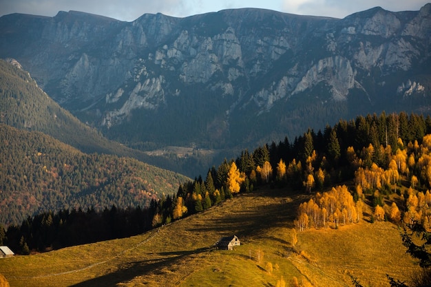 Uroczy górski krajobraz w górach Bucegi, Karpaty, Rumunia. Jesienna przyroda w Moeciu