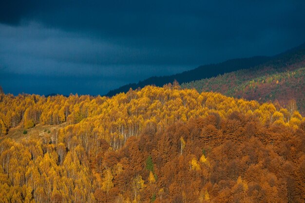 Uroczy górski krajobraz w górach Bucegi, Karpaty, Rumunia. Jesienna przyroda w Moeciu