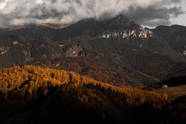 Uroczy górski krajobraz w górach Bucegi, Karpaty, Rumunia