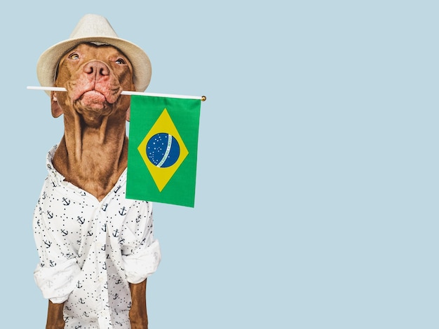 Uroczy kapelusz przeciwsłoneczny dla szczeniaka i brazylijska flaga