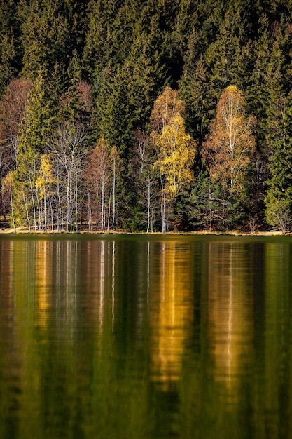 Uroczy krajobraz górski w Karpatach, Rumunia.