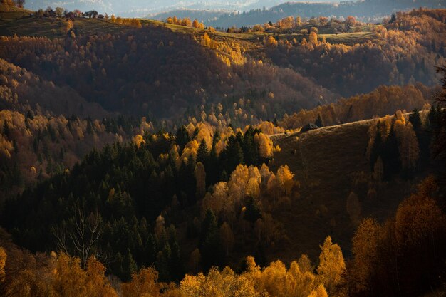 Uroczy krajobraz górski w Karpatach, Rumunia.