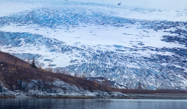 USA, Alaska, Park Narodowy Glacier Bay, Lodowisko, Łąki, Park Narodowy