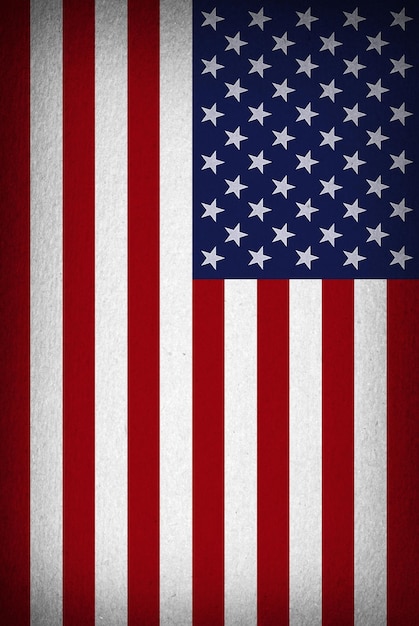 USA flag wektor grunge design