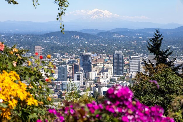 USA panoramiczny widok na centrum miasta Portland, rzekę Columbia i park narodowy Mount Hood