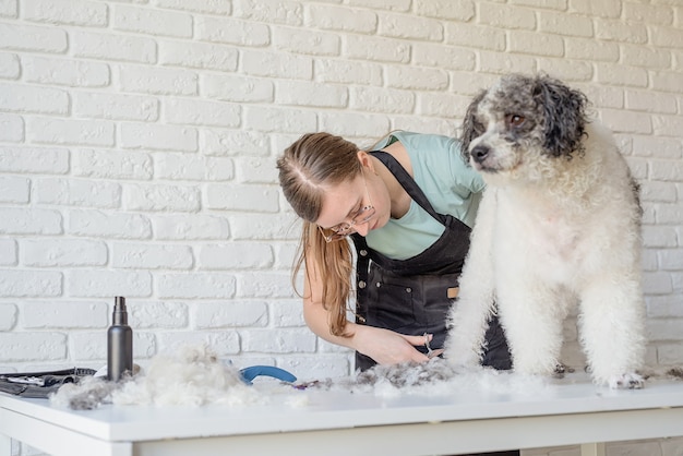 Uśmiechnięta kobieta pielęgnująca bichon frise psa w salonie