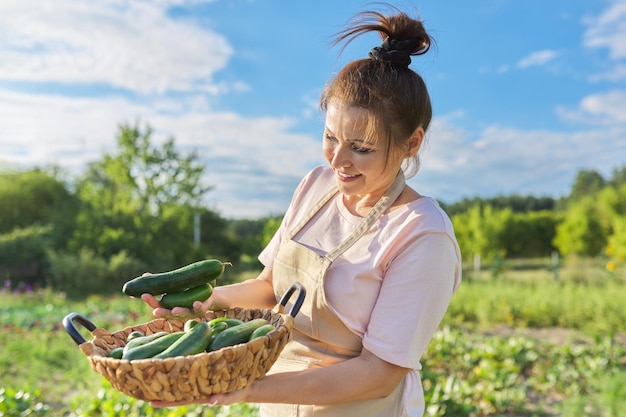 Uśmiechnięta kobieta ze zbiorem ogórków na farmie ogrodniczka na słonecznym letnim ogrodzie warzywnym z koszem ogórków Hobby ogrodnictwo uprawa organicznych warzyw