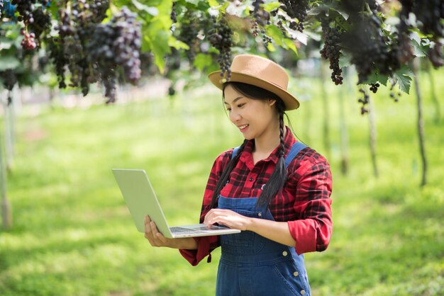 Uśmiechnięta młoda kobieta używająca laptopa podczas zbadania winogron w winnicy