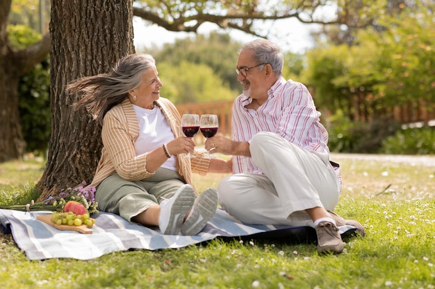 Uśmiechnięty starszy mężczyzna i kobieta w swobodnych na kraciastych okrzykach z kieliszkami wina cieszą się razem piknikiem