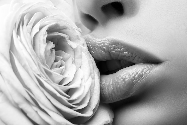 Usta z szminką zbliżenie dziewczyna otwarte usta naturalne piękno usta piękne usta kobiety z różą