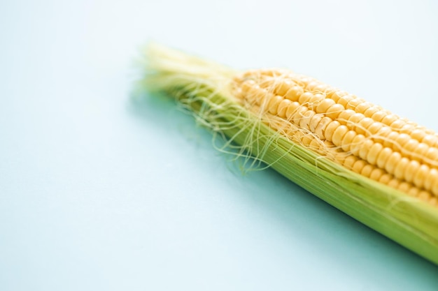 Uszy kukurydzy na białym tle na niebieskim tle