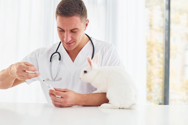 Używa stetoskopu Młody weterynarz jest w domu z małym królikiem Koncepcja opieki zdrowotnej