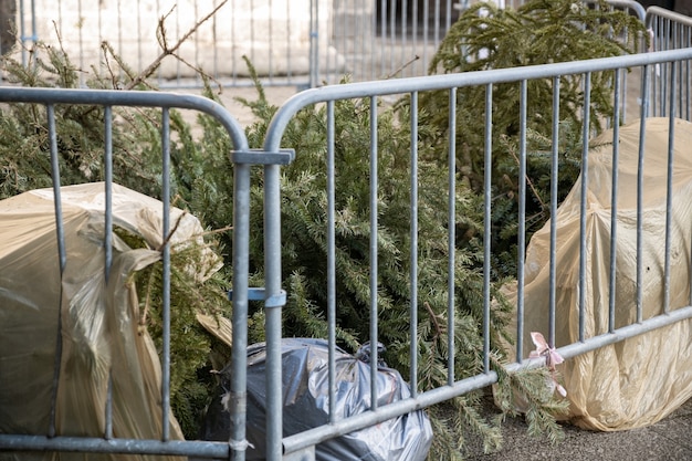 Zdjęcie używane choinki za płotem we francji