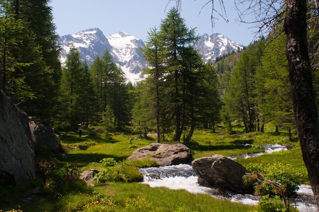 Val d'aosteitaly