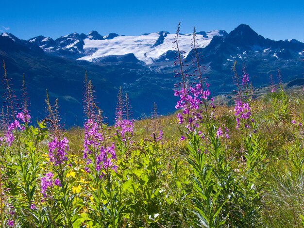 Val d'orgeresla thuileaosteitalie