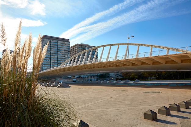 Valencia Alameda most ekspozycyjny na Turii