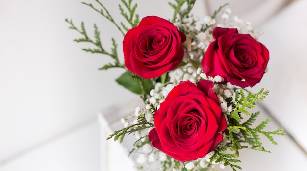 Valentine karty z trzech czerwonych róż naturalnych i białe tło z miejsca do pisania