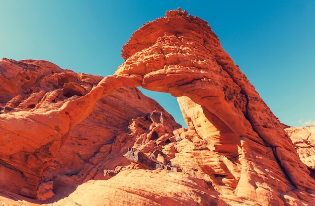 Valley Of Fire