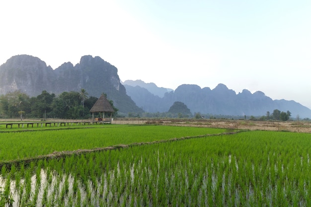 Vang Vieng, Laos