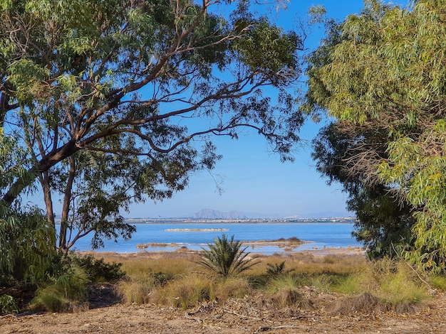 Vega Baja Del Segura El Lago Azul Del Parque Natural De Las Lagunas De La Mata Y Torrevieja