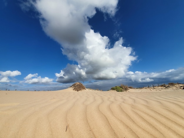 Vega Baja del Segura Guardamar del Segura Dunas y pinada