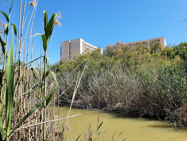 Vega Baja del Segura Guardamar del Segura Molino Harinero de San Antonio Azud Puente de Hierro