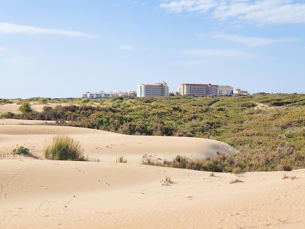 Zdjęcie vega baja del segura guardamar del segura paisaje de dunas junto al mar