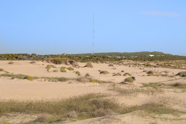 Vega Baja del Segura Guardamar del Segura Paisaje de dunas junto al mar
