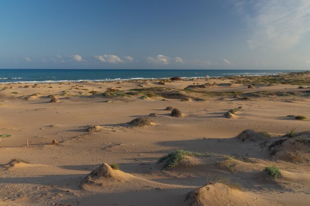 Vega Baja del Segura – Guardamar – Dunas y pinada en Guardamar del Segura