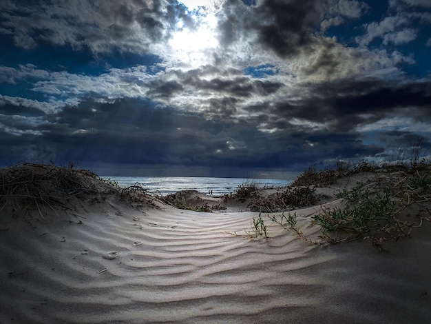 Vega Baja del Segura - Luz de luna en las dunas