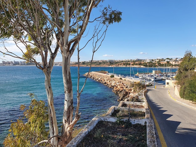 Vega Baja Del Segura Orihuela Costa Cabo Roig En El Sur De La Costa Blanca